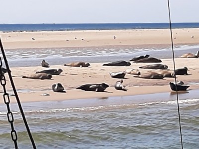 Uitwaaien op Texel